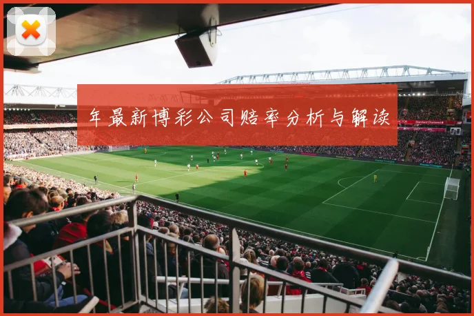 年最新博彩公司赔率分析与解读